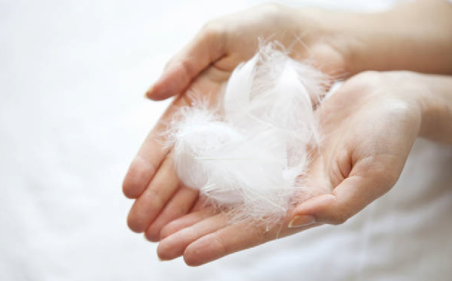 高い保温性フィルパワー600採用